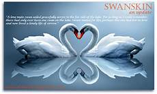 Swanskin Undersheet